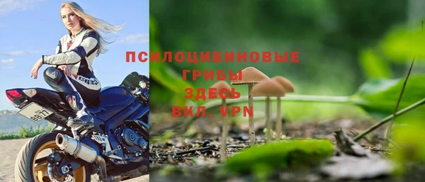 амф Алексеевка