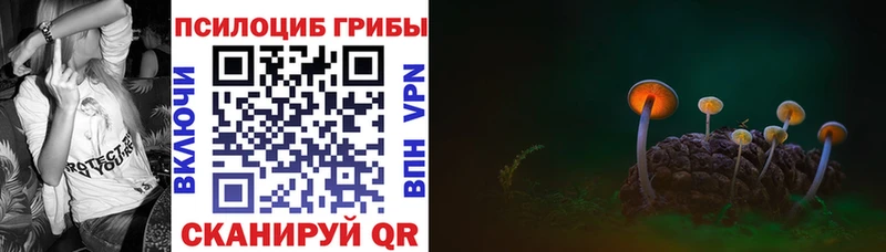 это какой сайт  Сельцо  МЕГА маркетплейс  Галлюциногенные грибы Magic Shrooms  наркота 